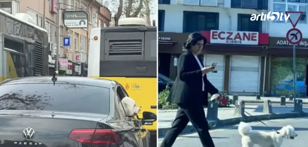 Köpeğe, Devletin Makam Aracını Tahsis ettiler!