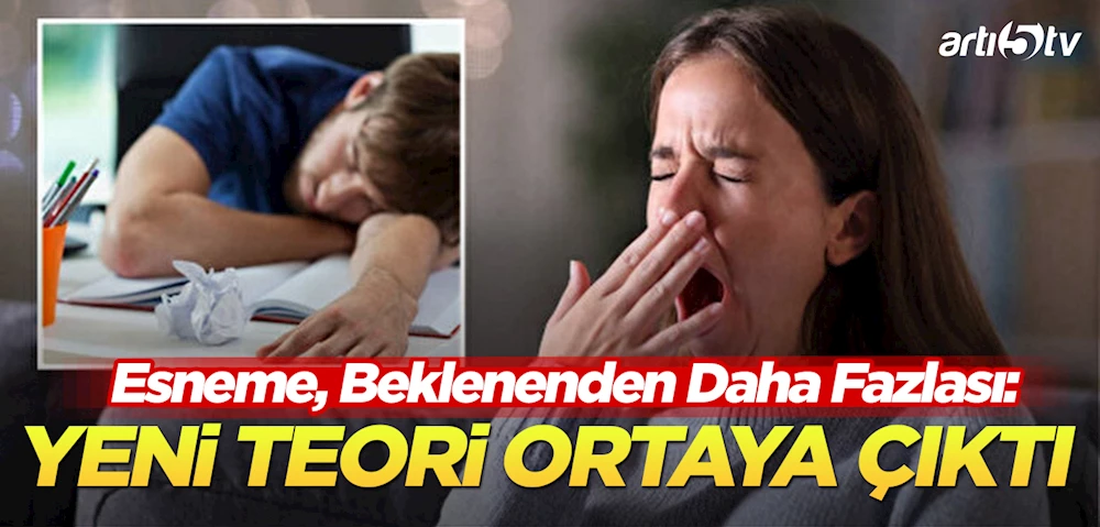 Esneme, Beklenenden Daha Fazlası: Yeni Bir Teori Ortaya Çıktı!